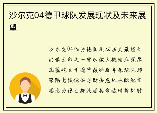 沙尔克04德甲球队发展现状及未来展望